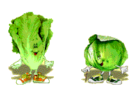 Detail Gambar Kangkung Kartun Nomer 9