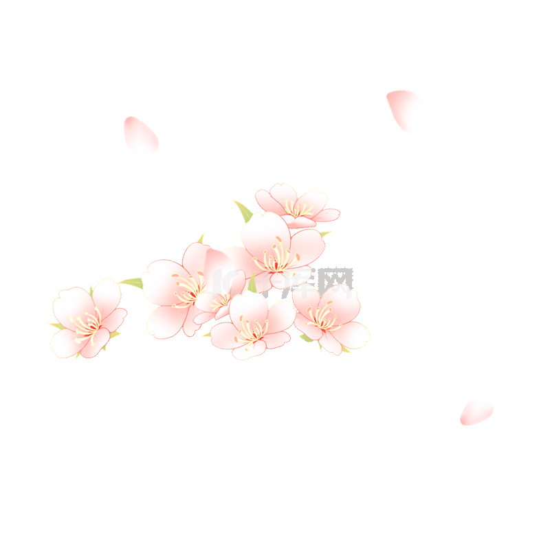 Detail Gambar Kartun Bunga Sakura Nomer 33