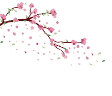 Detail Gambar Kartun Bunga Sakura Nomer 7