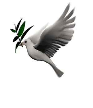 Detail Gambar Kartun Burung Merak Nomer 27