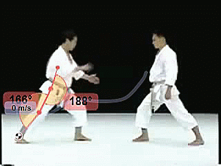 Detail Gambar Kartun Karate Nomer 35