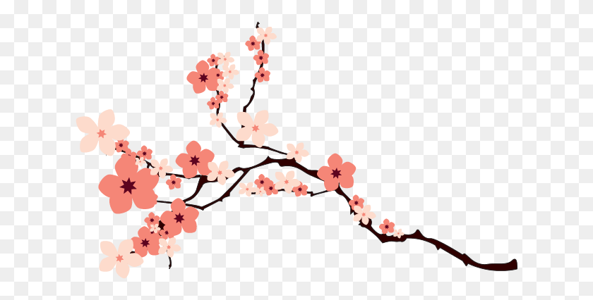 Detail Cherry Blossom Png Image Nomer 19