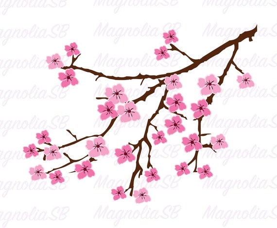 Detail Cherry Blossom Twigs Nomer 7