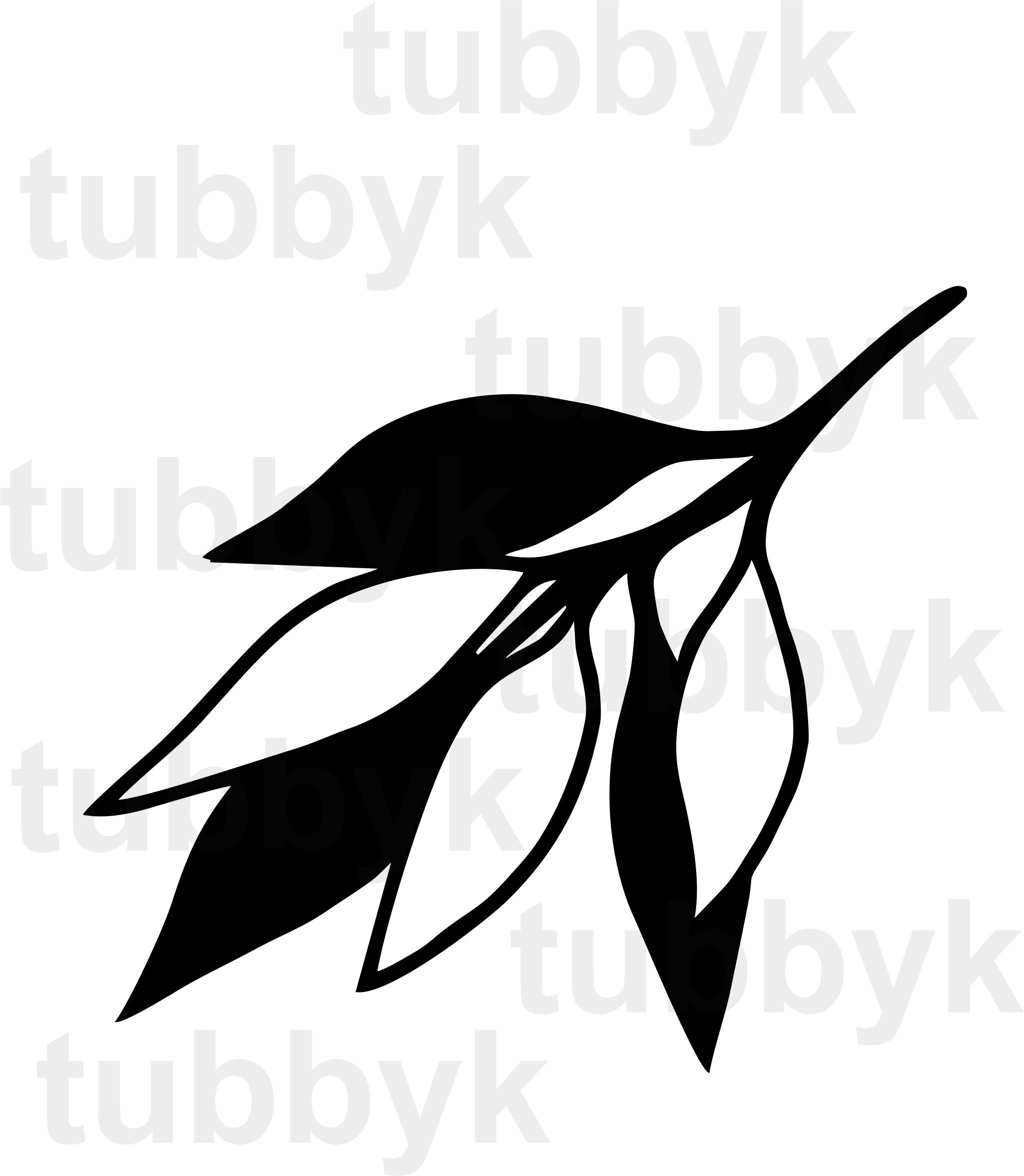 Detail Clipart Eukalyptus Nomer 21