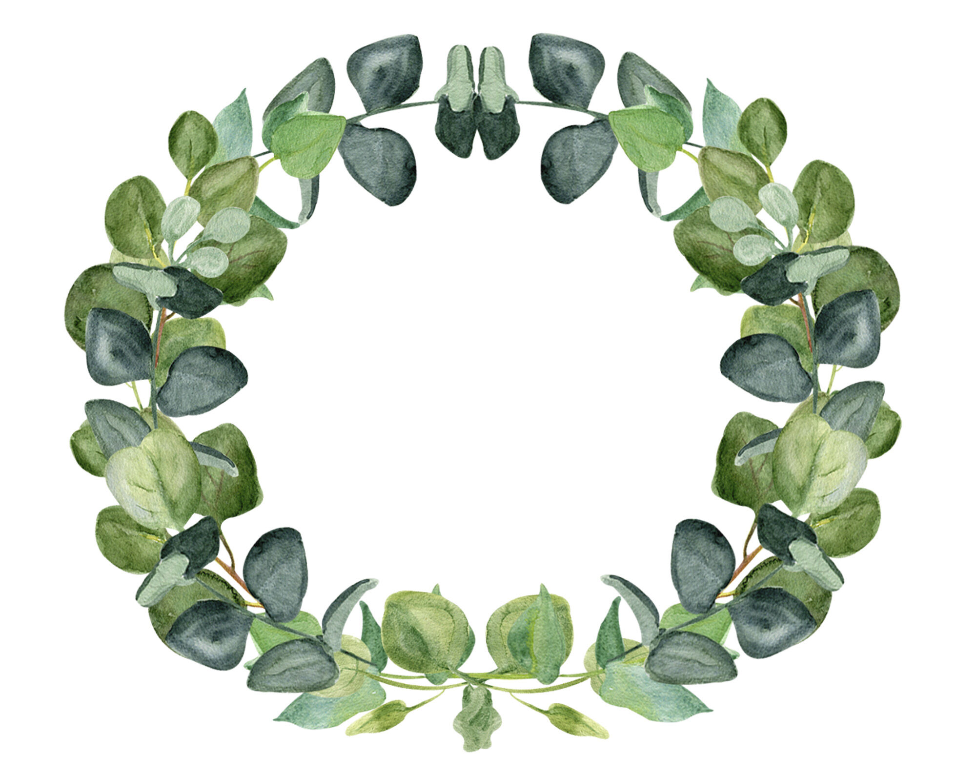 Detail Eukalyptus Png Free Nomer 7