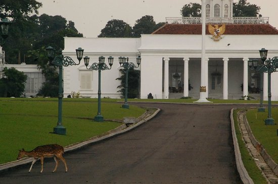 Detail Foto Istana Bogor Nomer 52