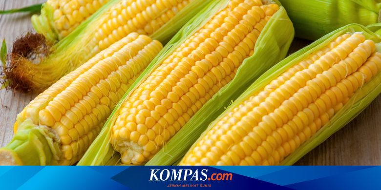 Detail Foto Jagung Manis Nomer 10