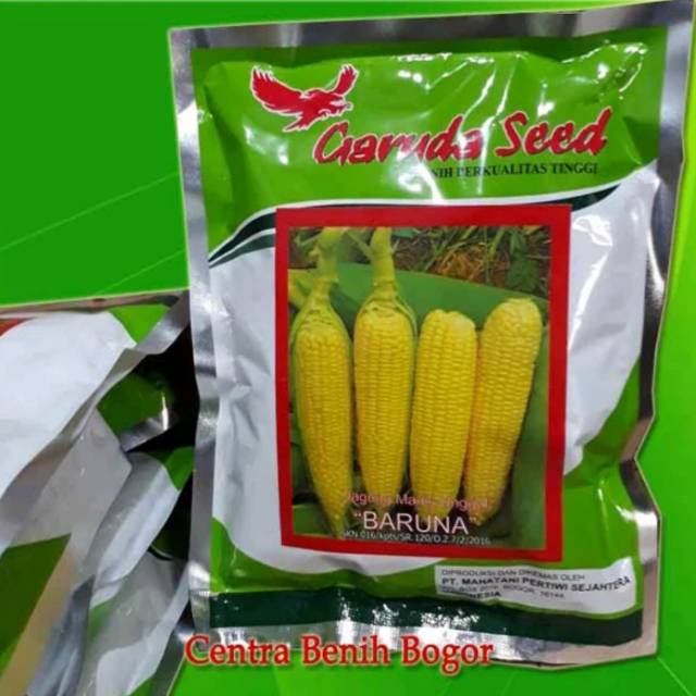 Detail Foto Jagung Manis Nomer 46