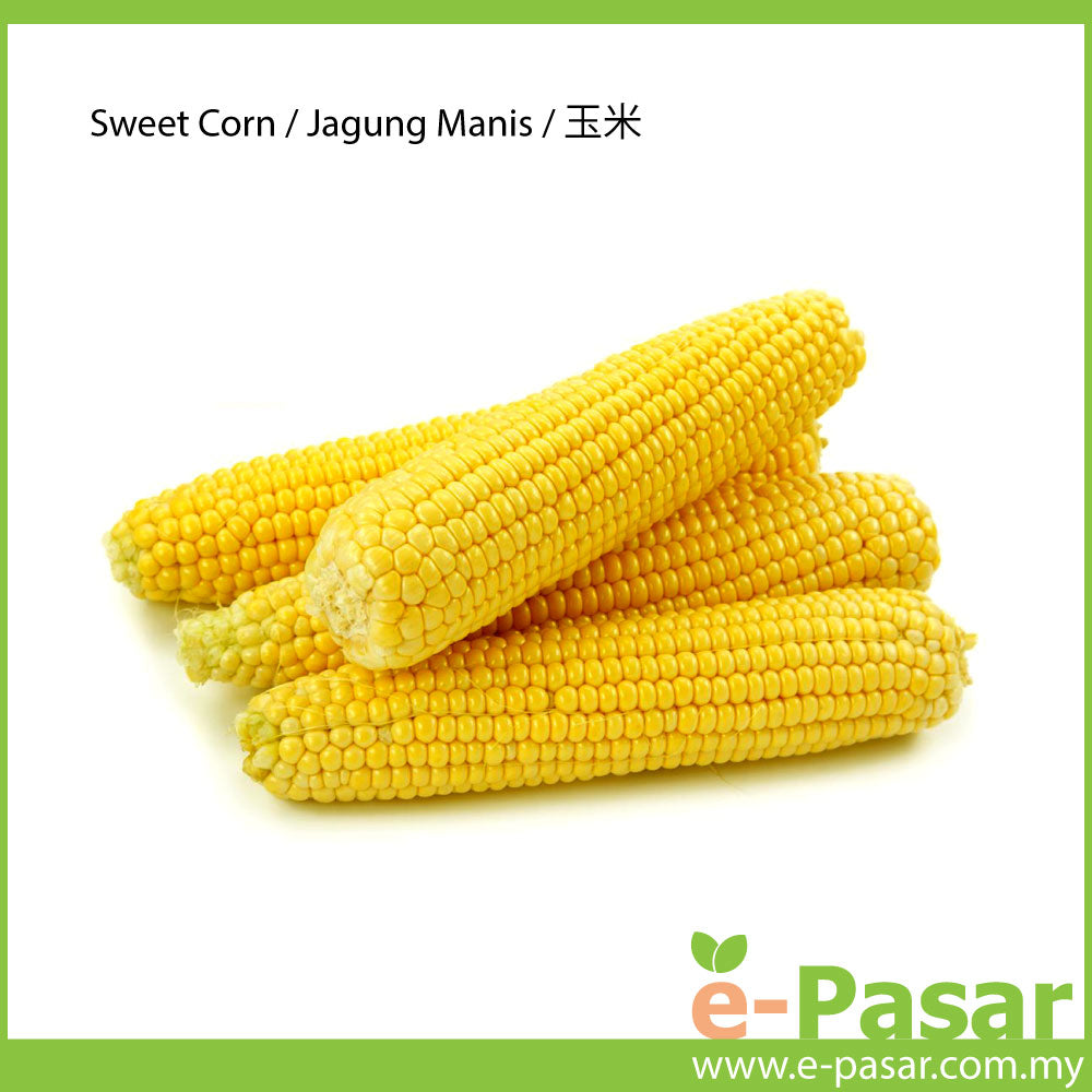 Detail Foto Jagung Manis Nomer 7