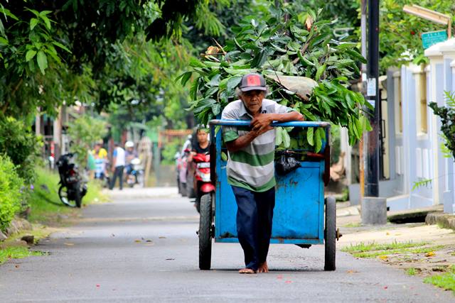 Detail Foto Jalanan Nomer 46
