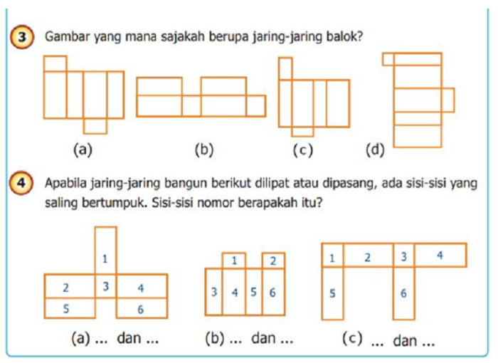 Detail Foto Jaring Jaring Balok Nomer 20