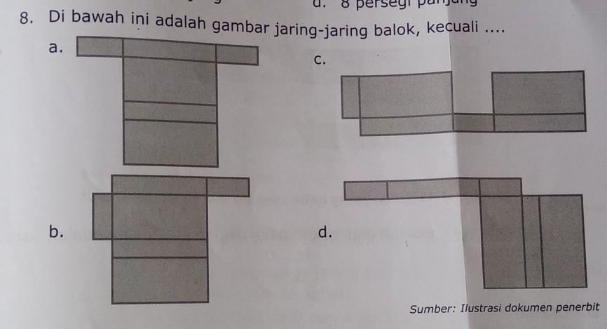 Detail Foto Jaring Jaring Balok Nomer 56