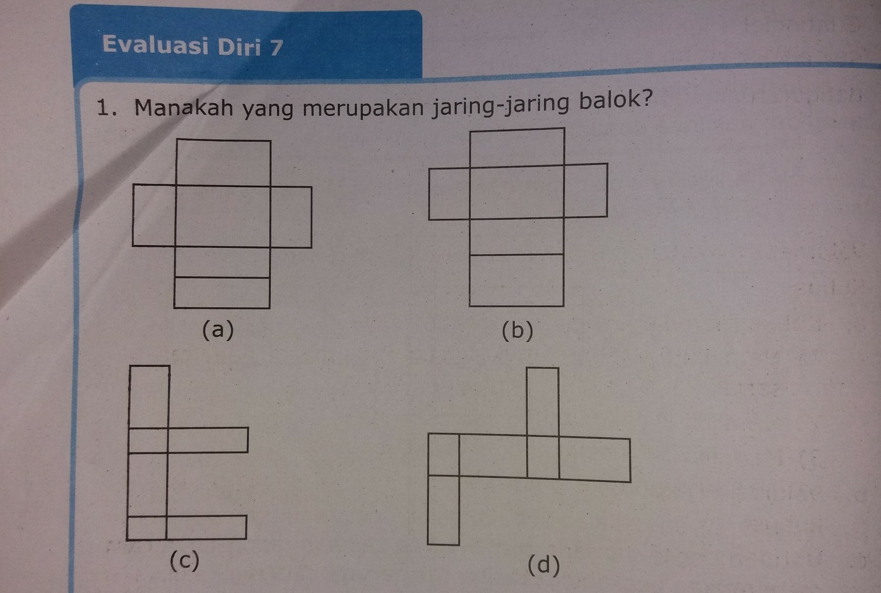 Detail Foto Jaring Jaring Balok Nomer 7