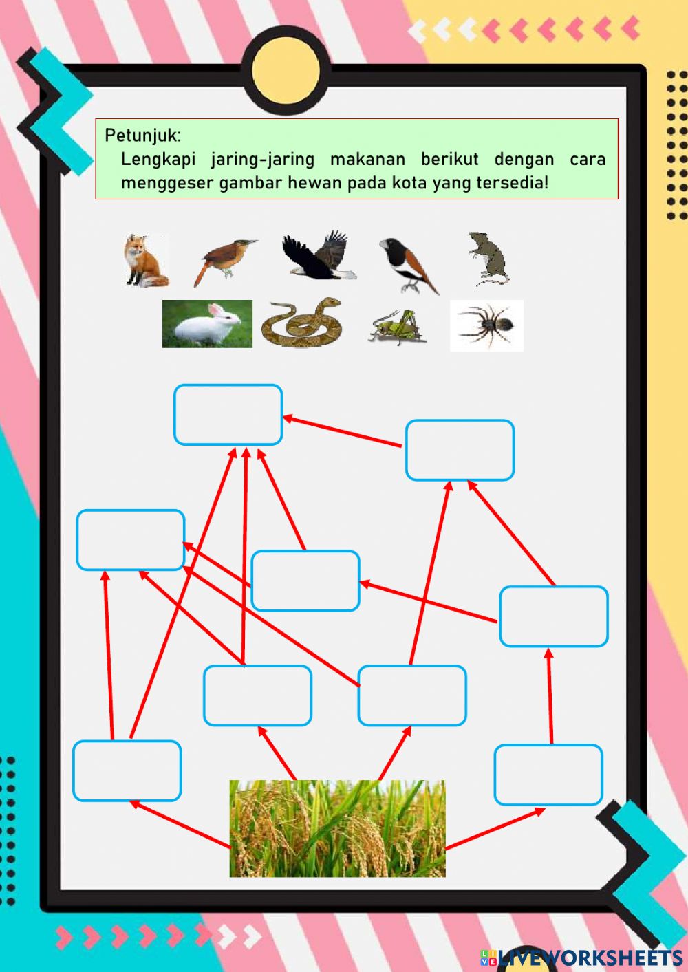 Detail Foto Jaring Jaring Makanan Nomer 16