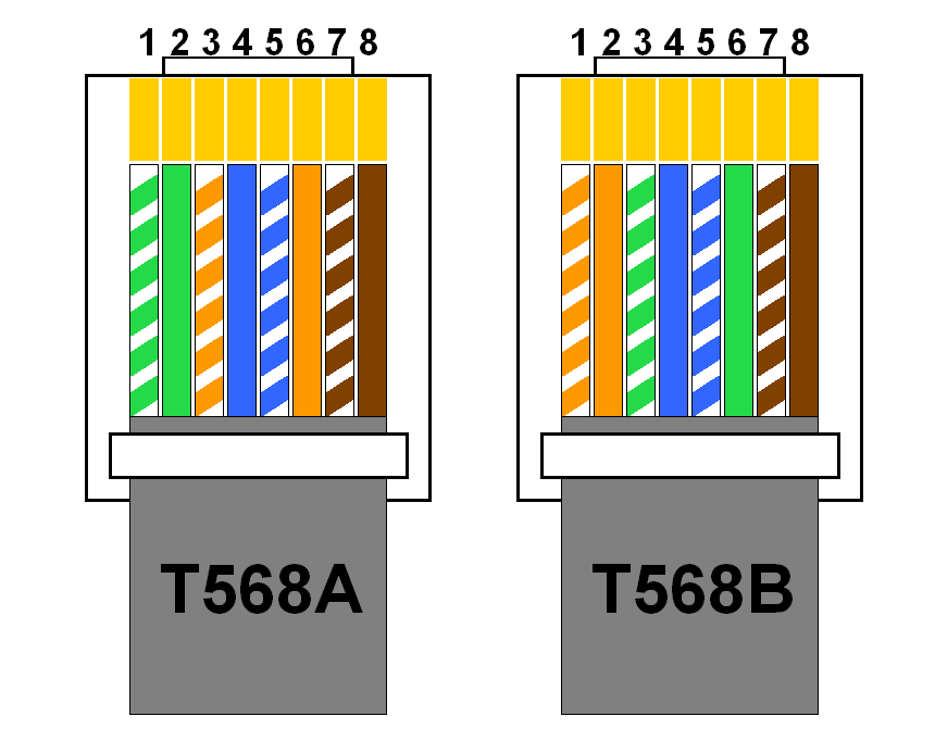 Detail T568a Oder T568b Nomer 11