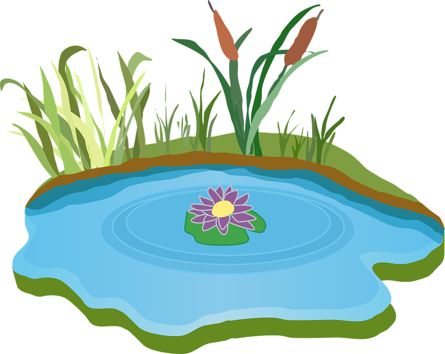 Teich Zeichnung