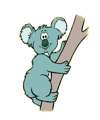 Gambar Kartun Koala - KibrisPDR