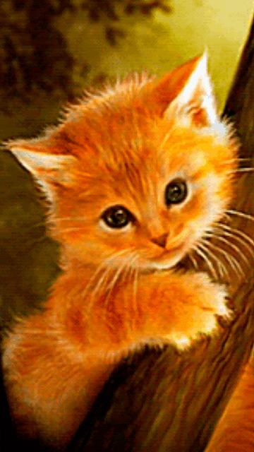 Download Gambar Kartun Kucing Lucu Nomer 53