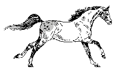 Detail Gambar Kartun Kuda Lumping Nomer 29