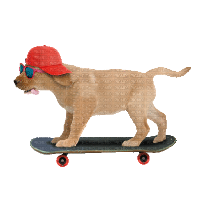 Detail Gambar Kartun Main Skateboard Nomer 16