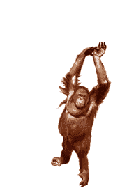Detail Gambar Kartun Monyet Nomer 17