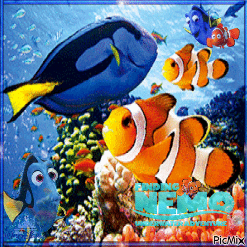 Detail Gambar Kartun Nemo Nomer 21