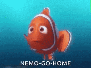 Detail Gambar Kartun Nemo Nomer 9