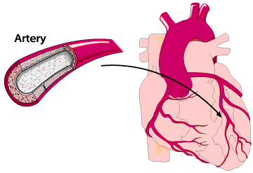 Detail Gambar Kartun Organ Tubuh Manusia Nomer 13