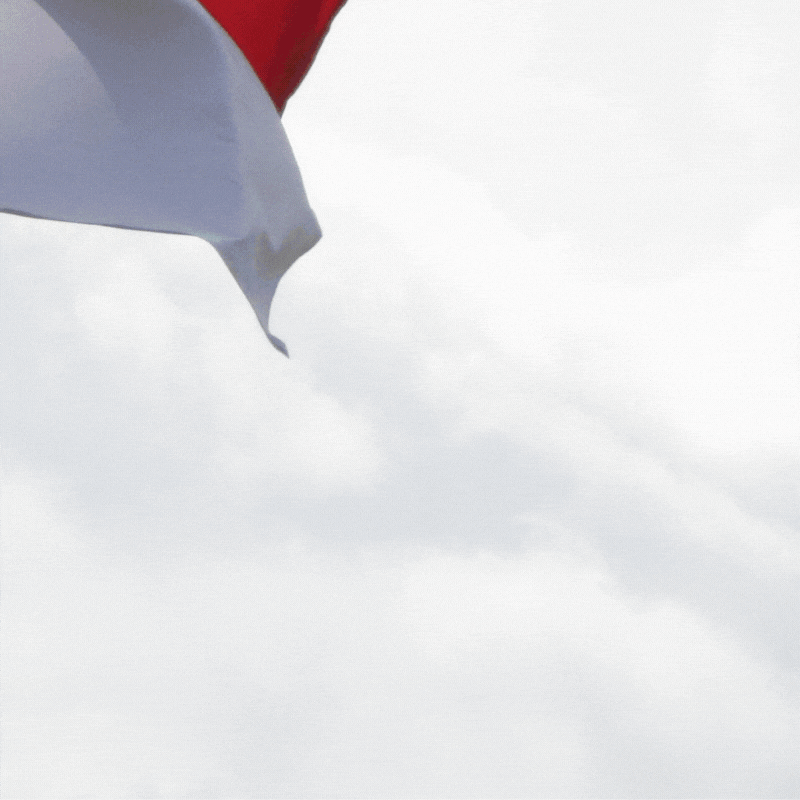 Detail Gambar Kartun Pahlawan Nasional Koleksi Nomer 20