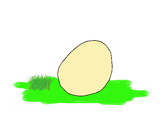 Gambar Kartun Telur Ayam Menetas - KibrisPDR