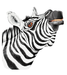 Detail Gambar Kartun Zebra Nomer 24