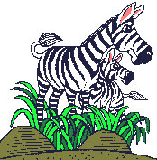 Detail Gambar Kartun Zebra Nomer 4