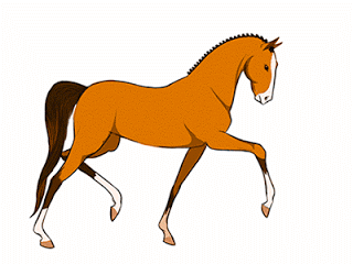 Detail Gambar Kuda Kartun Lucu Nomer 6