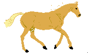 Detail Gambar Kuda Kartun Lucu Nomer 9