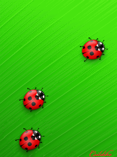 Detail Gambar Kumbang Animasi Nomer 11