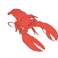Detail Gambar Lobster Kartun Nomer 11