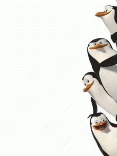 Detail Gambar Penguin Kartun Nomer 44