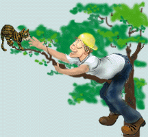 Detail Gambar Pertumbuhan Manusia Kartun Nomer 49