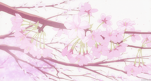 Detail Gambar Pohon Sakura Kartun Nomer 11