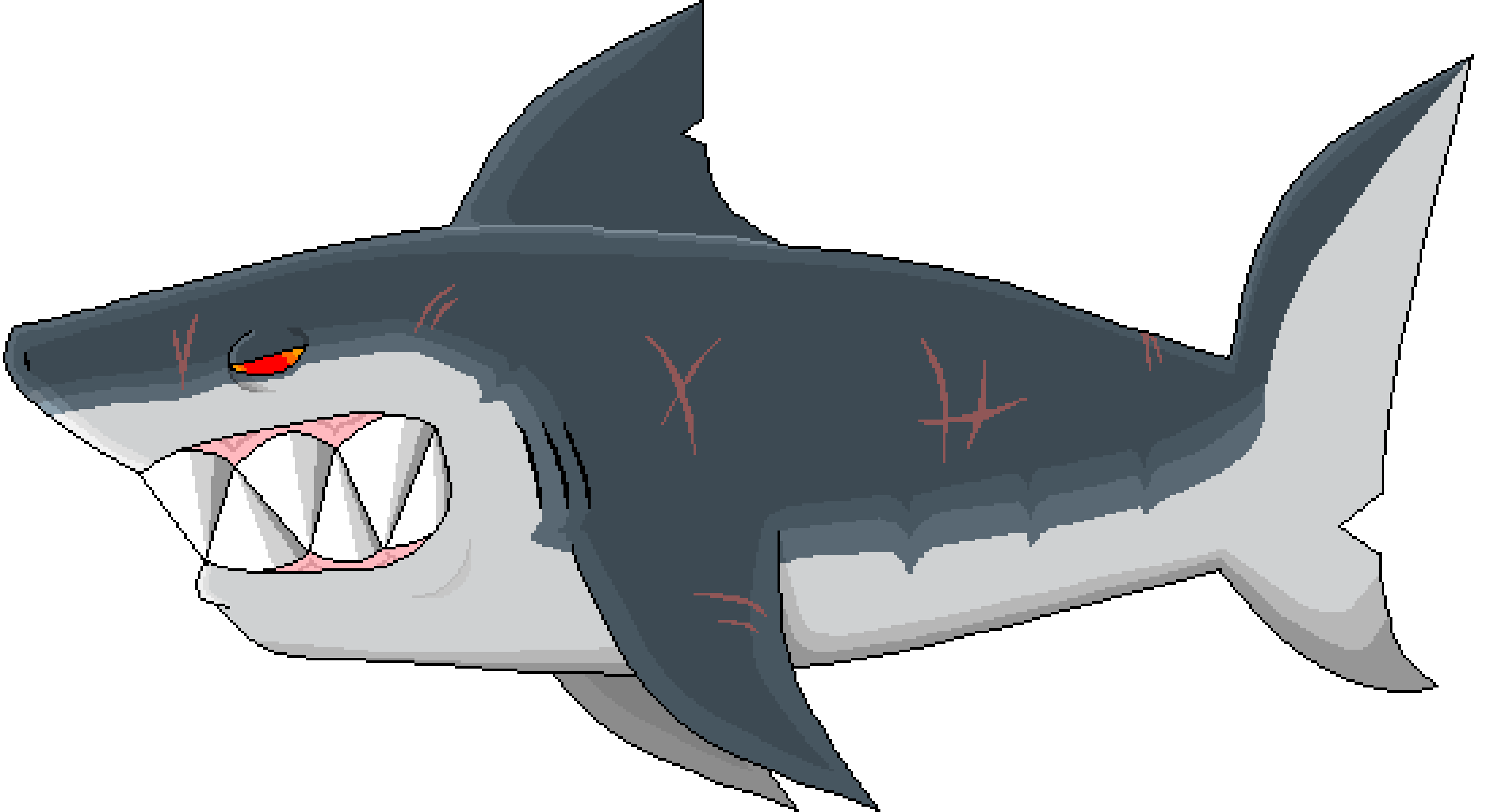 Detail Gambar Shark Kartun Nomer 12