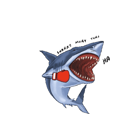 Detail Gambar Shark Kartun Nomer 16