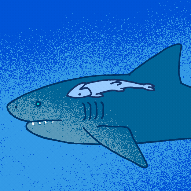 Detail Gambar Shark Kartun Nomer 46