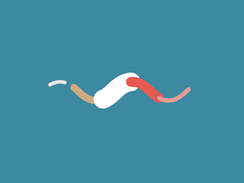 Detail Gif After Effect Nomer 7
