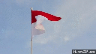 Detail Gif Bendera Merah Putih Berkibar Nomer 20