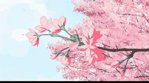 Detail Gif Bunga Sakura Nomer 16
