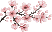 Detail Gif Bunga Sakura Nomer 36