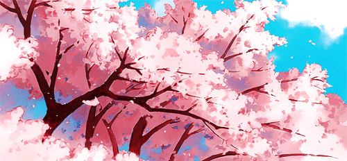 Detail Gif Bunga Sakura Nomer 48