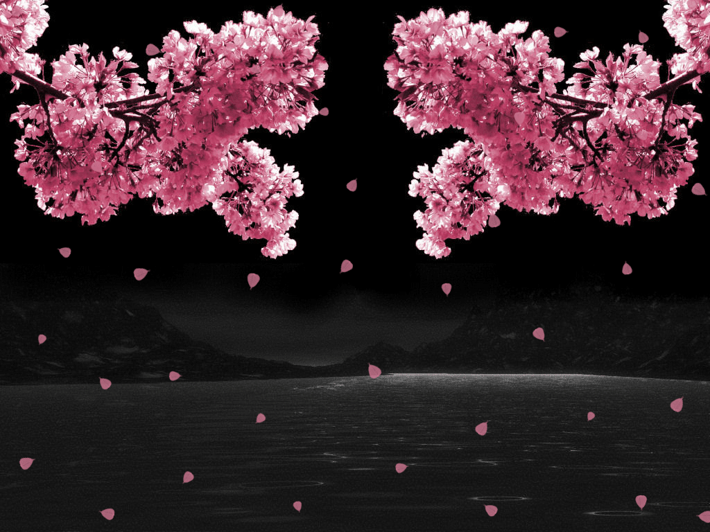 Detail Gif Bunga Sakura Nomer 9
