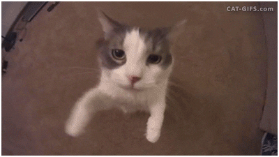 Detail Gif Com Nomer 3