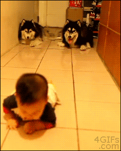 Detail Gif Com Nomer 51